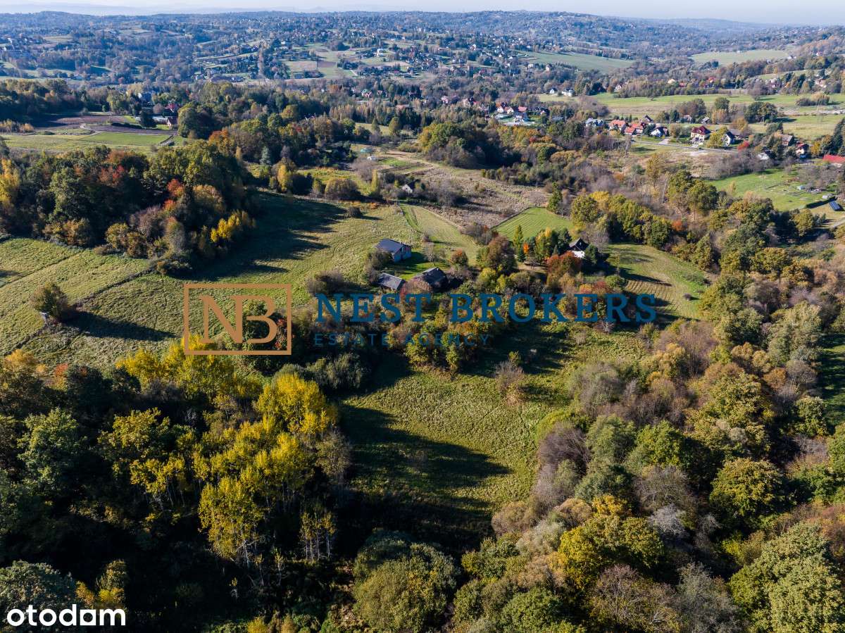 235804 - Pełny obrazek: 4/8