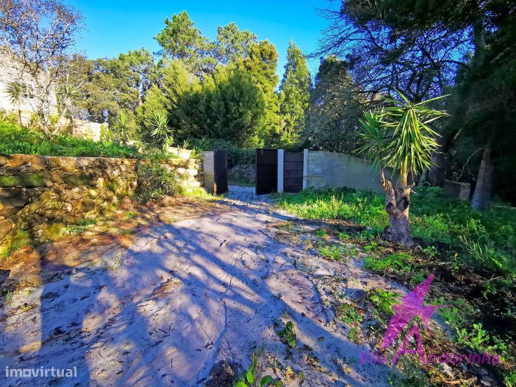 Terreno com 7740 m2 em Freixieiro de Soutelo, ao lado do rio Âncora... - Grande imagem: 2/42