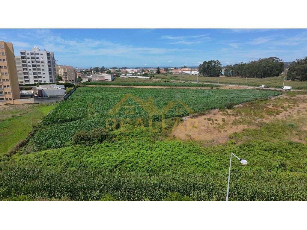 Excelente Oportunidade de Investimento: Terreno para Construção em ...-22