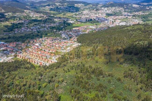 Terreno Florestal em Póvoa de Lanhoso-5