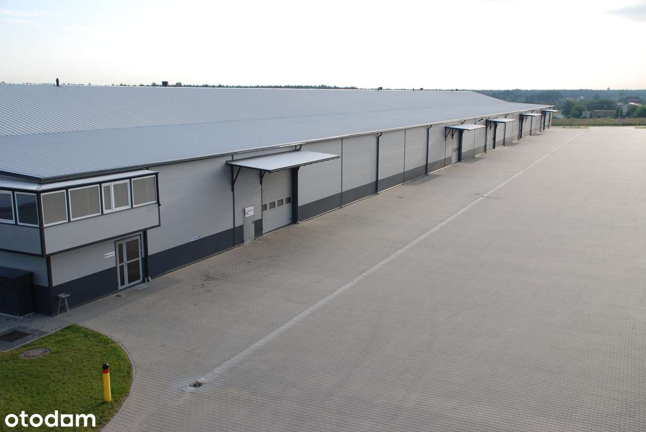 Bezpośrednio. Magazyn do wynajęcia – 2 882 m², Bugaj k. Poznania - Pełny obrazek: 2/7