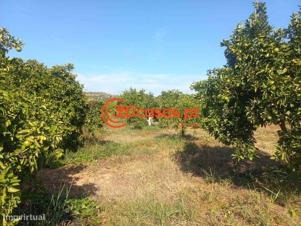 Quinta para venda em Tavira, Algarve - Grande imagem: 4/57