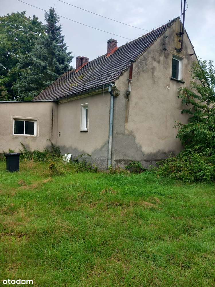 Dom otulony lasem w spokojnej okolicy - Pełny obrazek: 4/18