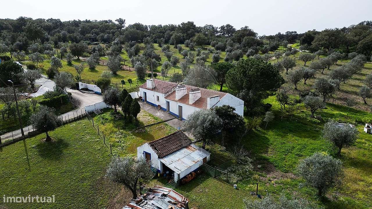 Quinta  para venda - Grande imagem: 3/29