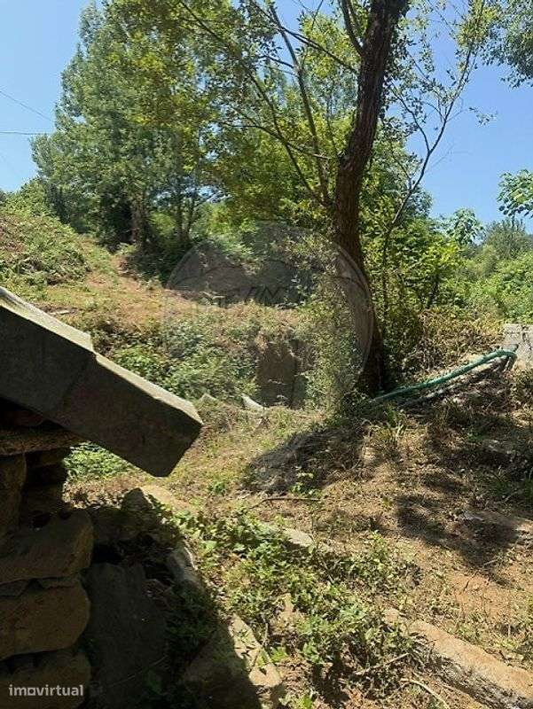 Quinta  para venda - Grande imagem: 4/15