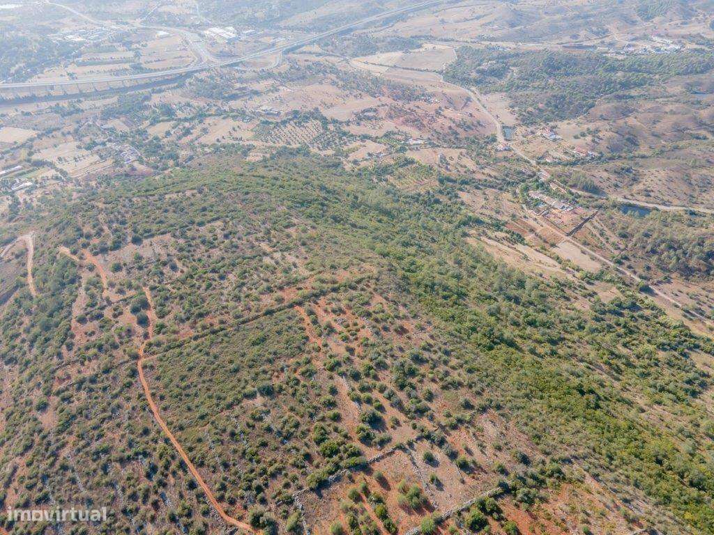 Terreno rústico com 3,8 hectares, S.B.Messines - Grande imagem: 4/8