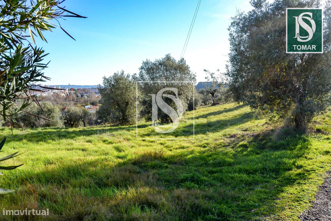 Terreno  Venda em Tomar (São João Baptista) e Santa Maria dos Olivais,-5