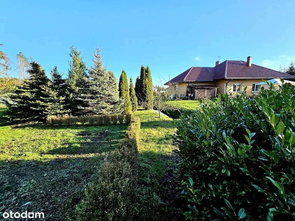 Dom pod samym lasem w Dobrej na dużej działce!-9