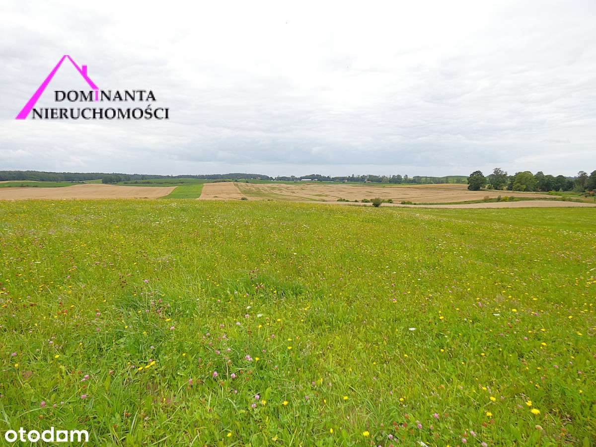 Działki rolne blisko lasu na Mazurach, 10 ha.-6