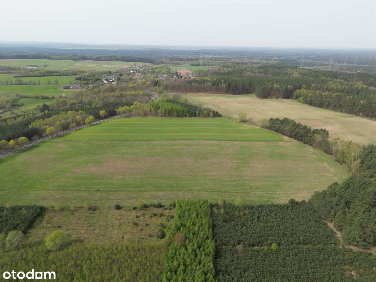 działka rolna o pow. 11300 m2 oraz dwie mniejsze! - Pełny obrazek: 5/8