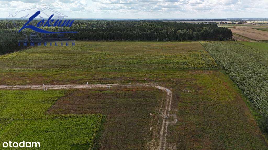 Zielone Wzgórze - działka w pięknej okolicy! - Pełny obrazek: 4/5