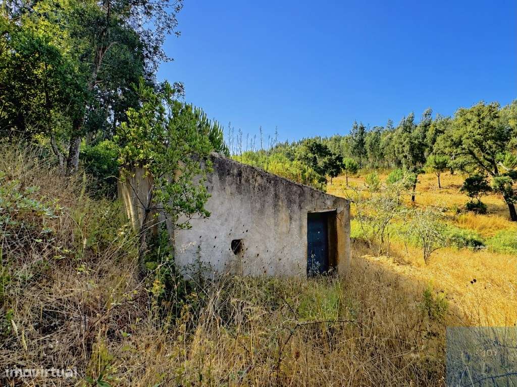 Terreno em São Teotónio, Odemira-3