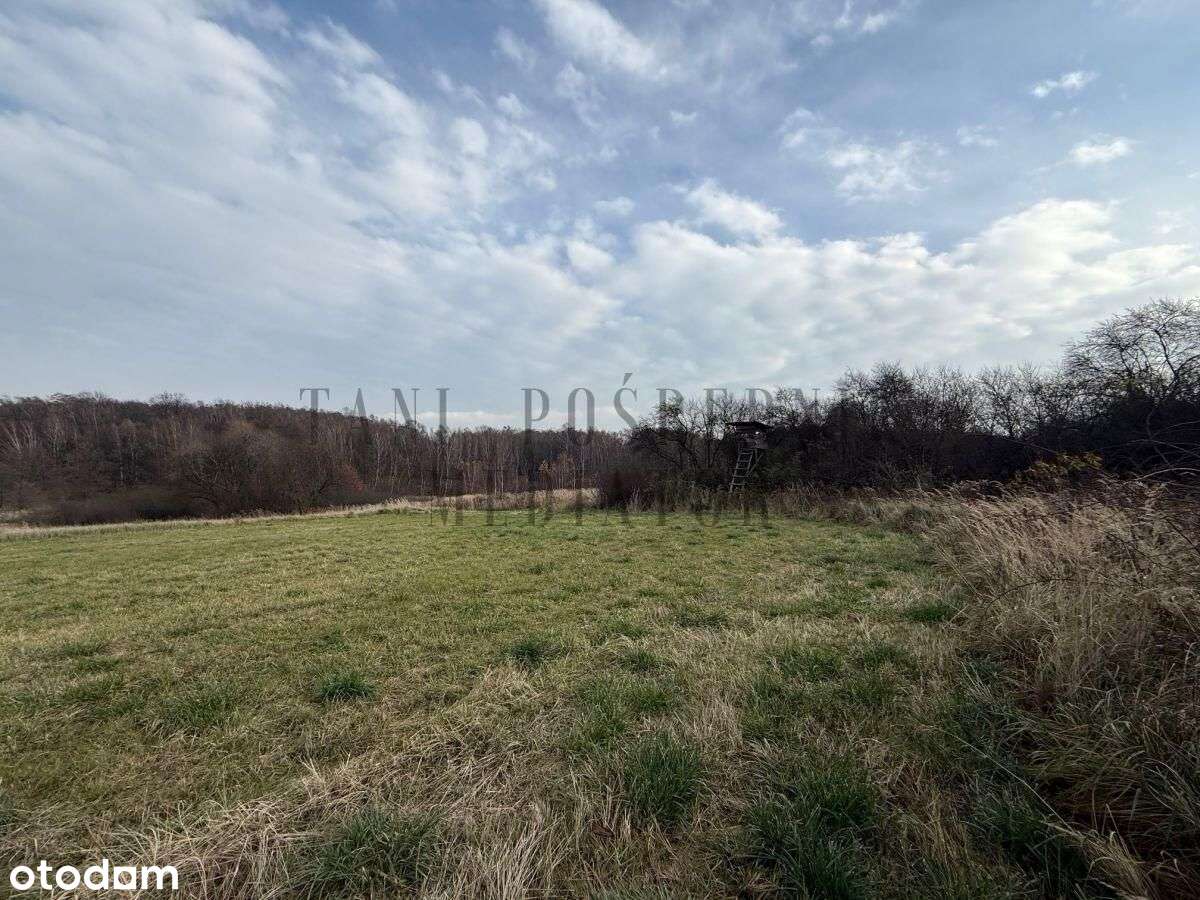 Działka rolna cena do ustalenia - Czernica - Pełny obrazek: 5/14