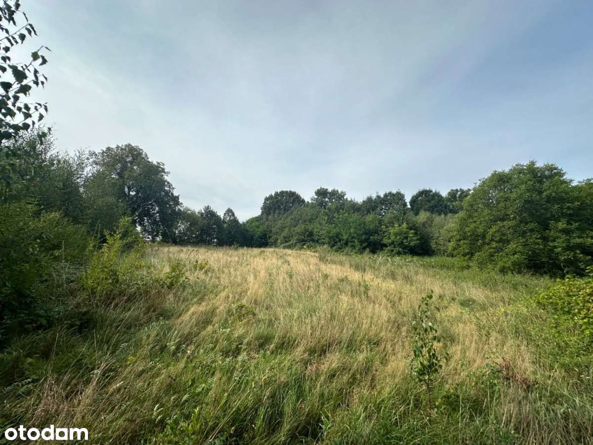 Działka budowlana JAŹWINA - S8, góry, jezioro, las, szybki dojazd! - Pełny obrazek: 4/12