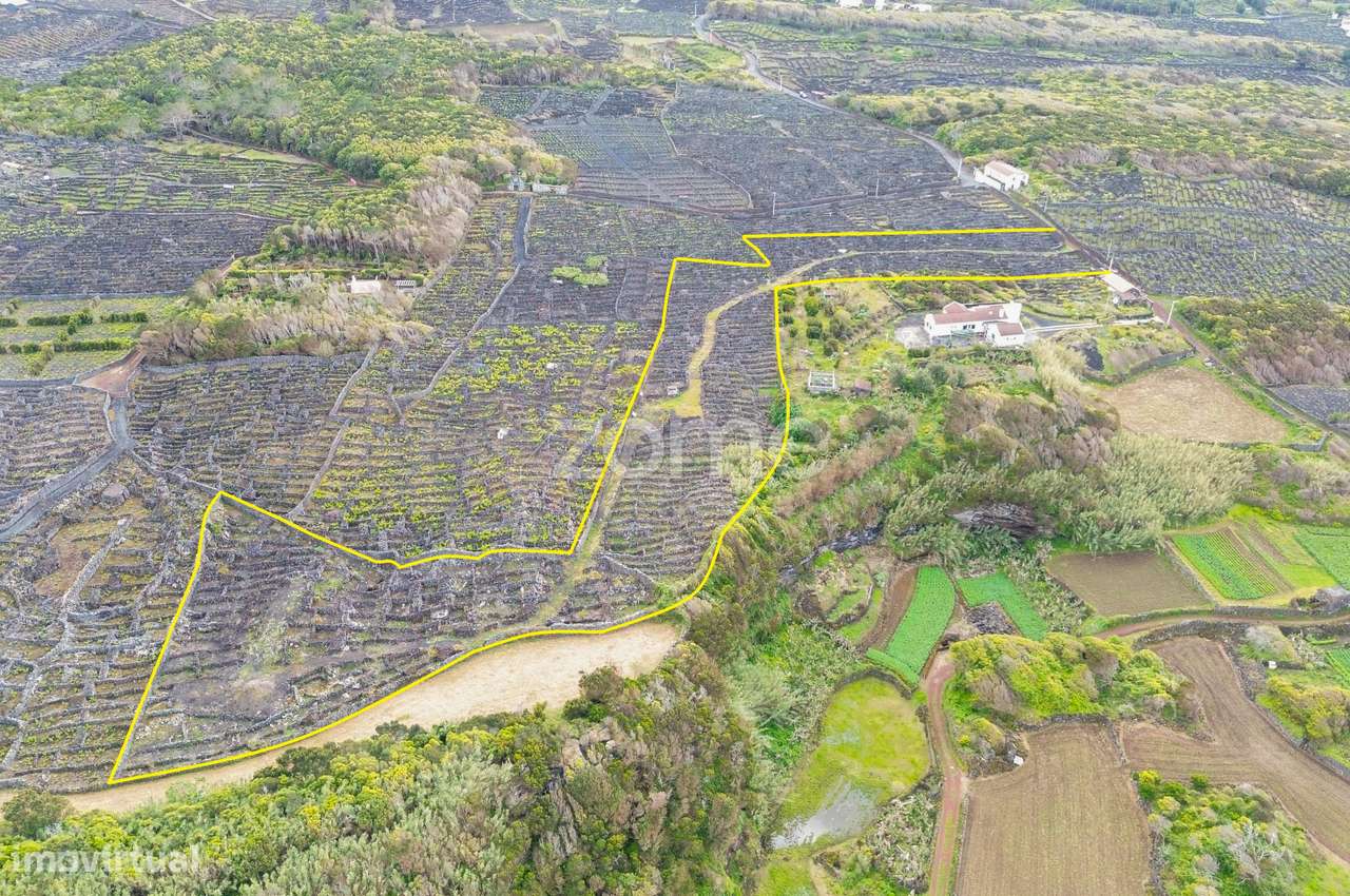 Terreno Rústico com Vinha nos Toledos, Madalena, Ilha do Pico - Grande imagem: 5/23