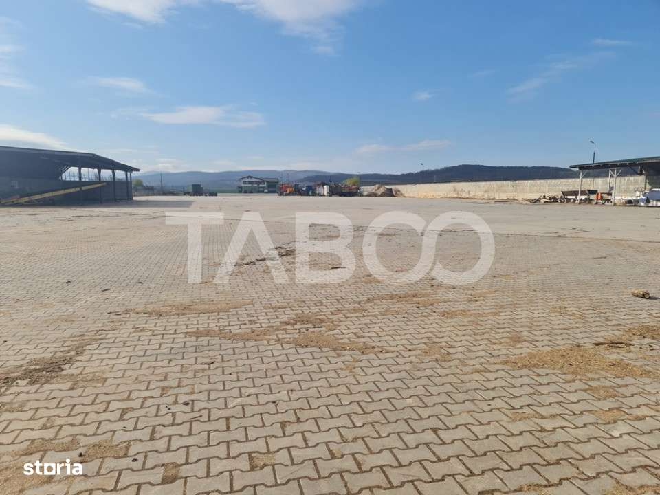 Spatiu industrial de inchiriat in Sebes judetul Alba - Imagine principală: 2/15