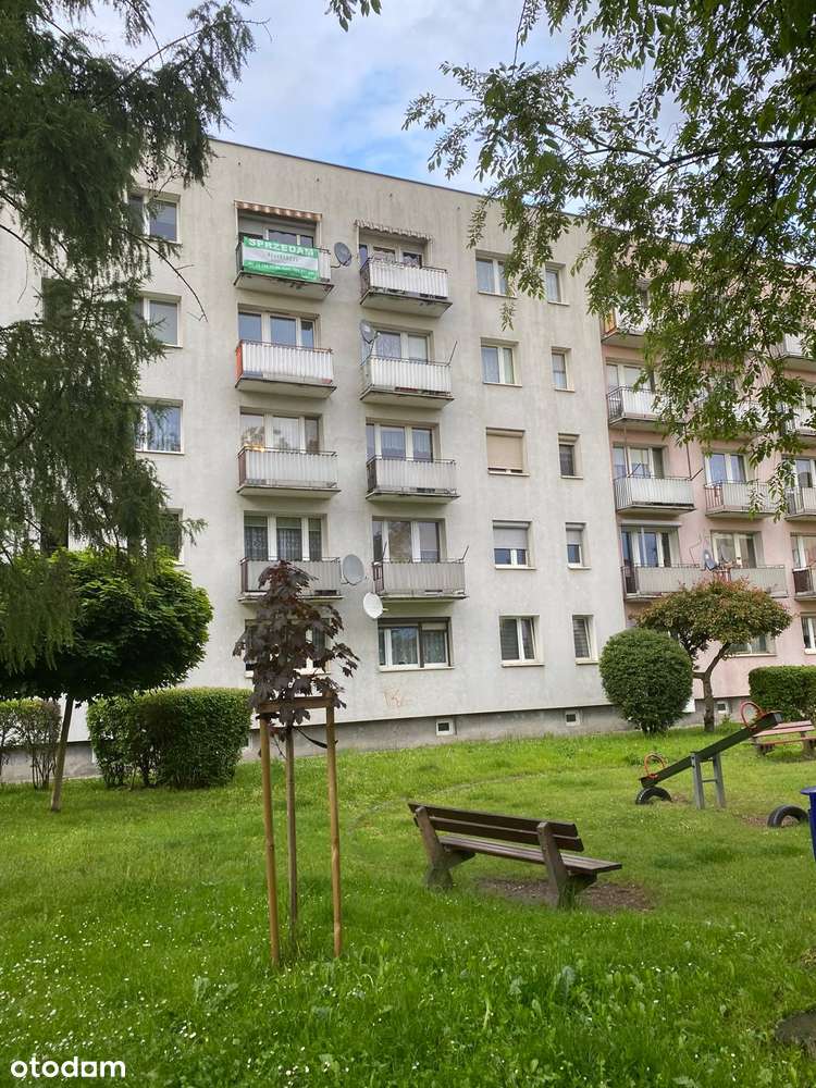 2-pokojowe mieszkanie, ul. Warszawska, Racibórz - NOWA CENA! - Pełny obrazek: 5/10