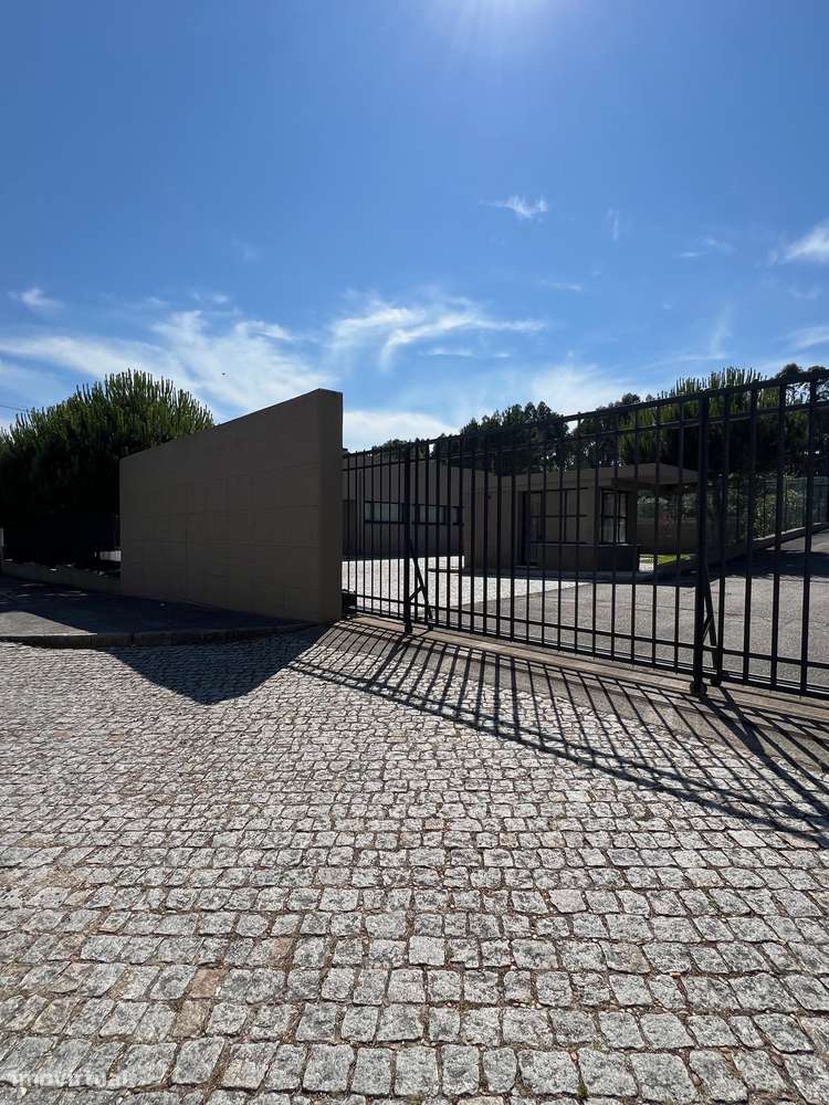 Armazém com Logradouro totalmente vedado - Grande imagem: 4/21