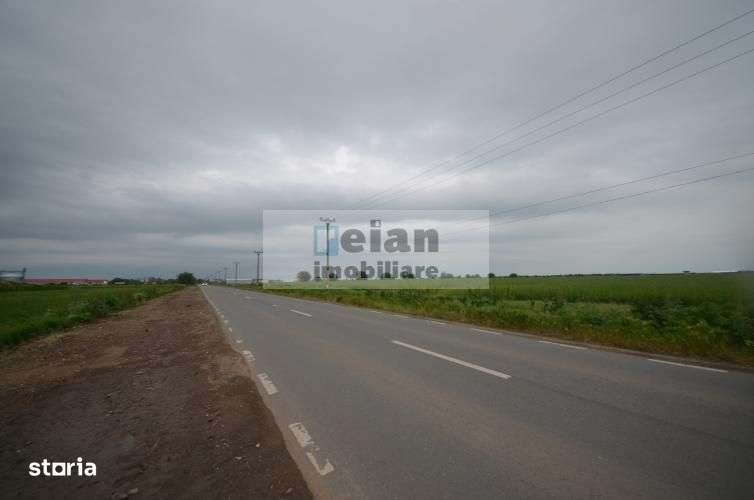 Dascalu - Teren 7ha, Deschidere 130 Ml La Dj 200, Utilitati Investitie - Imagine principală: 2/6