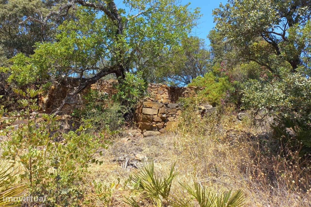 Terreno urbano - Grande imagem: 4/13