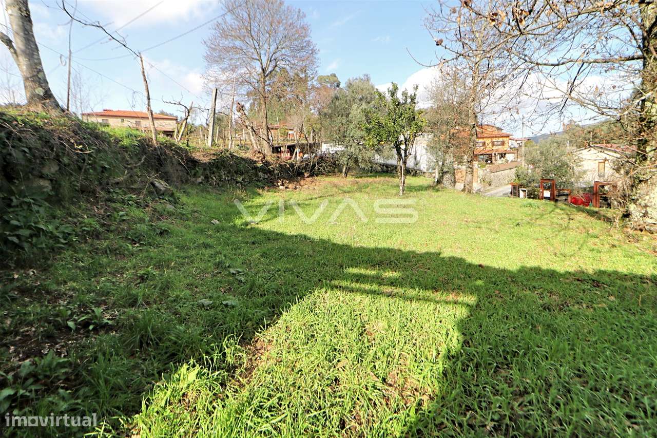 Moradia Isolada T0 Venda em Prado (São Miguel),Vila Verde - Grande imagem: 4/10