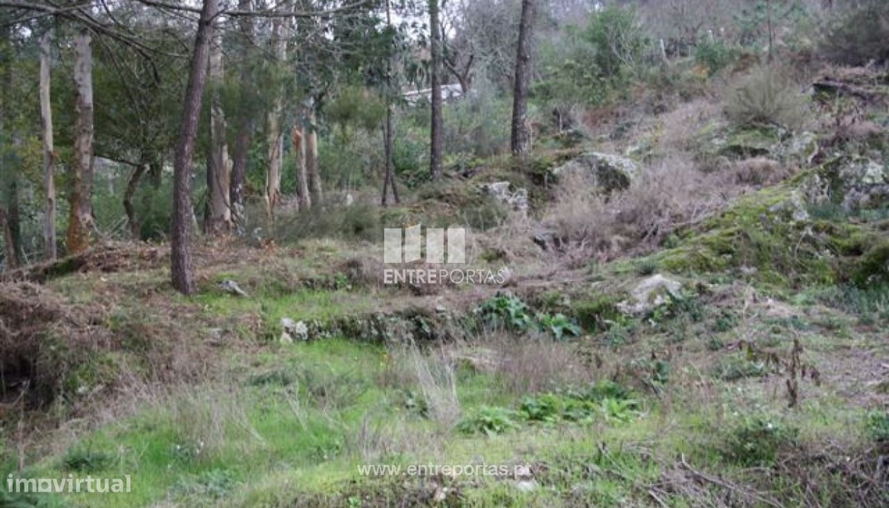 Terreno para venda, Azevedo, Caminha