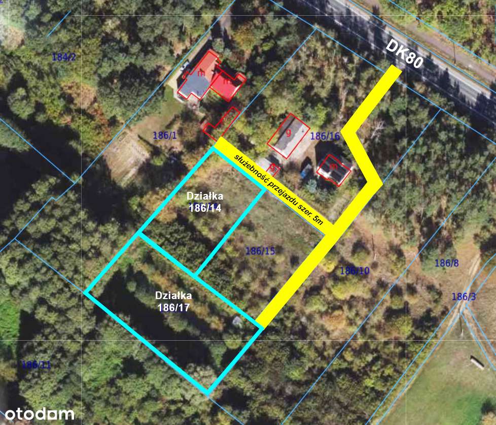 Piękna działka z Warunkami Zabudowy! Pędzewo (p. toruński) - Pełny obrazek: 4/9