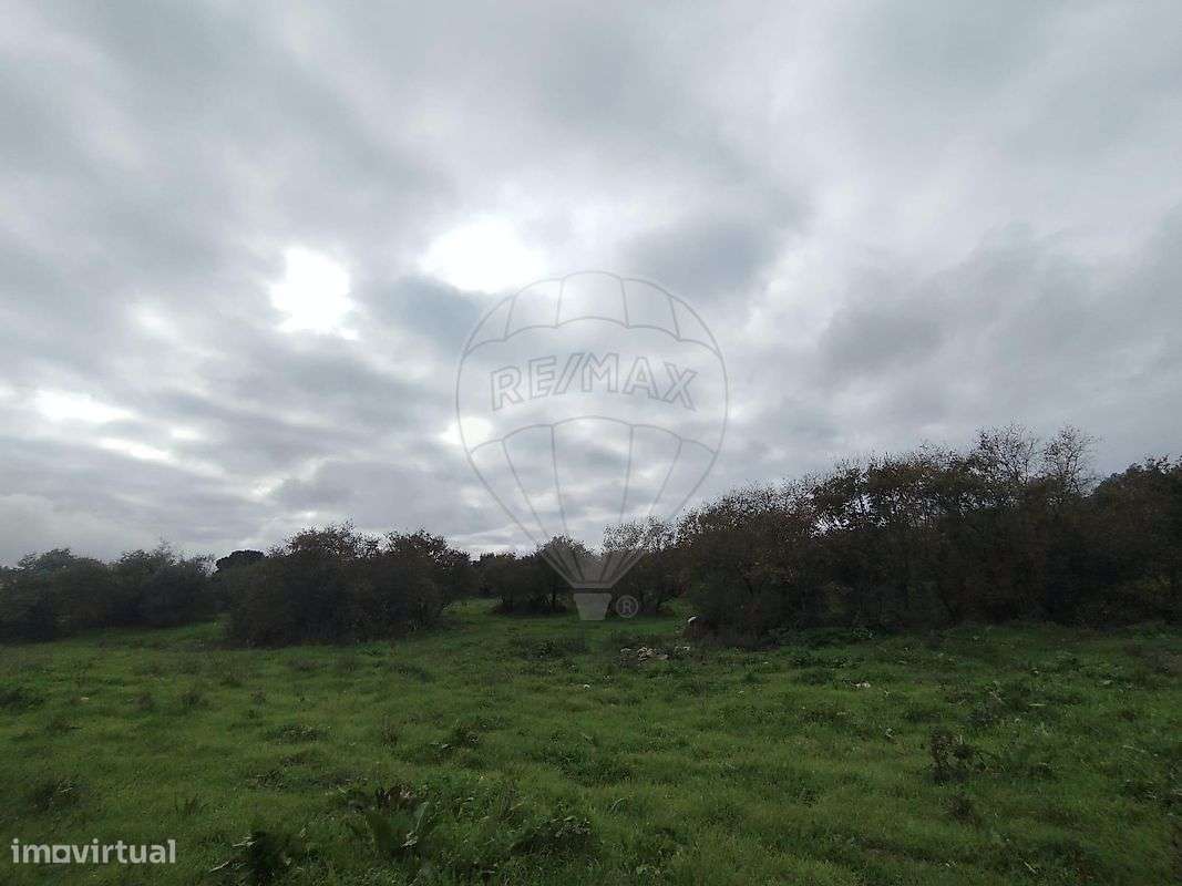 Terreno  para venda - Grande imagem: 5/8