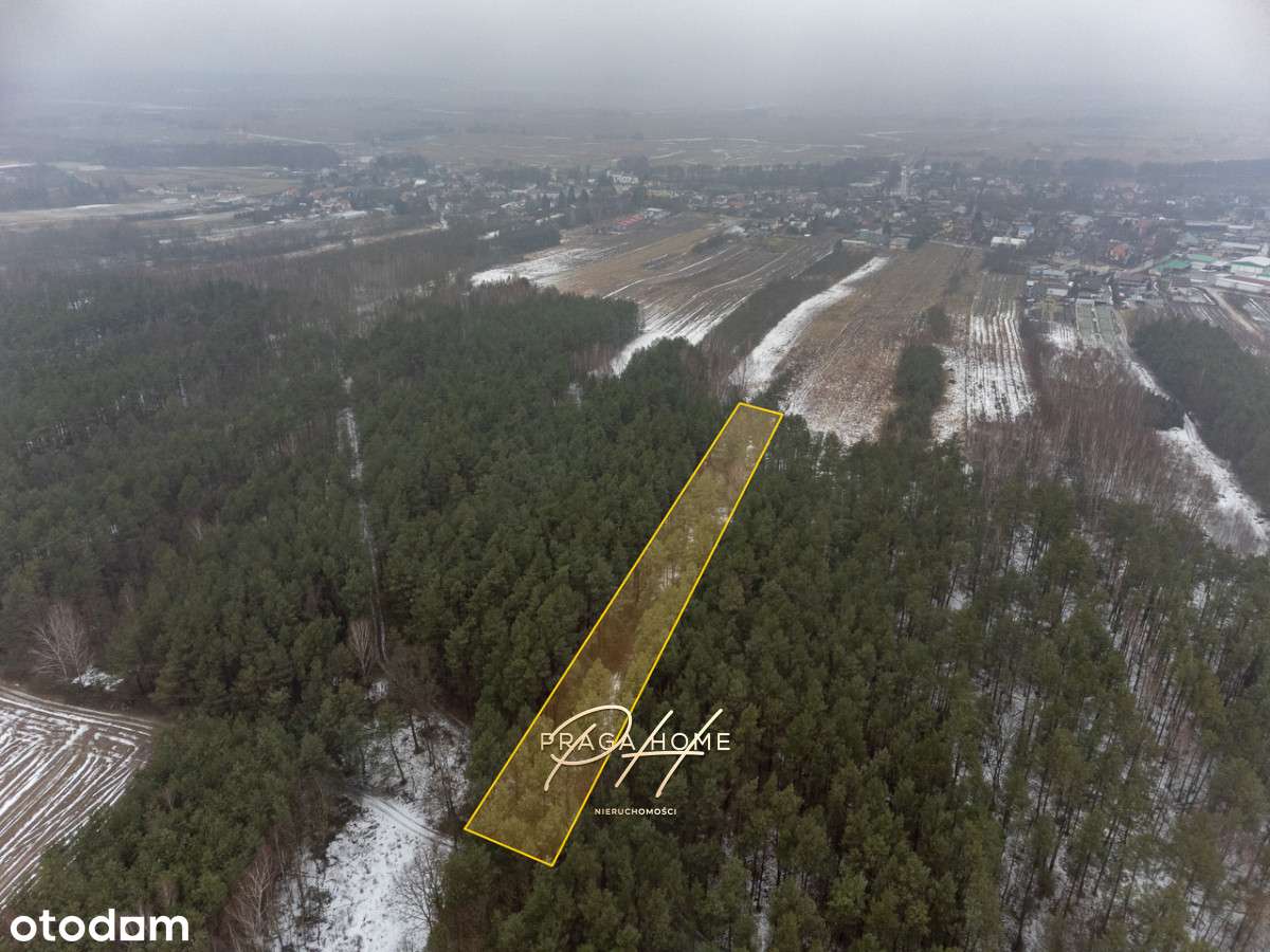 Działka leśna Wyśmierzyce pow. białobrzeski-0