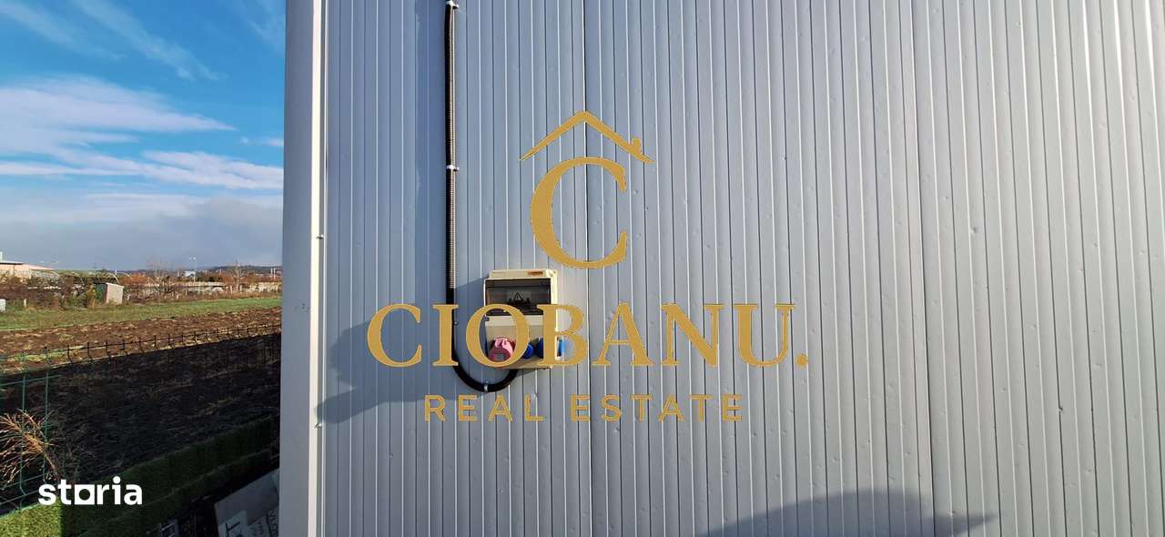 Hala de vanzare in Racarii de Jos-14