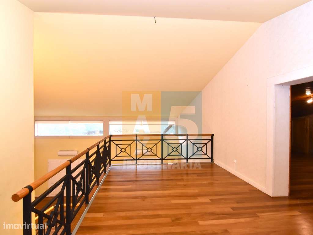 Quinta com 4.880 m2 - Alpiarça-11