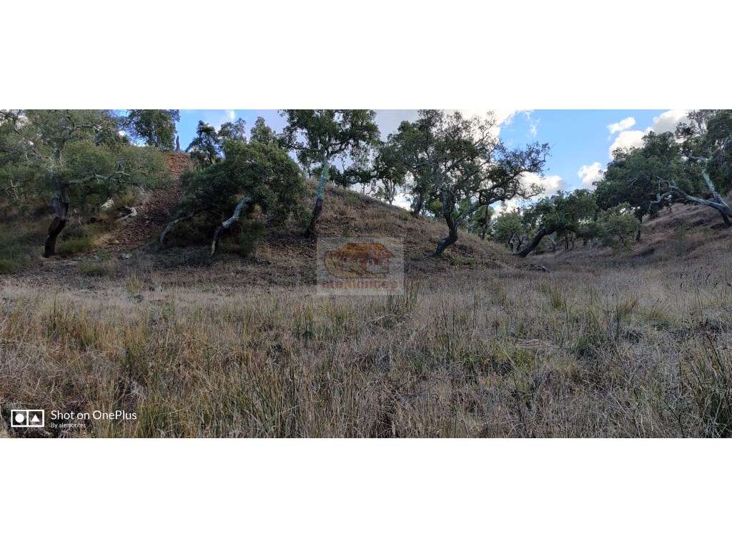 Terreno de 5,4ha com belas vistas da Serra e a 15km do centro de Gr... - Grande imagem: 3/9