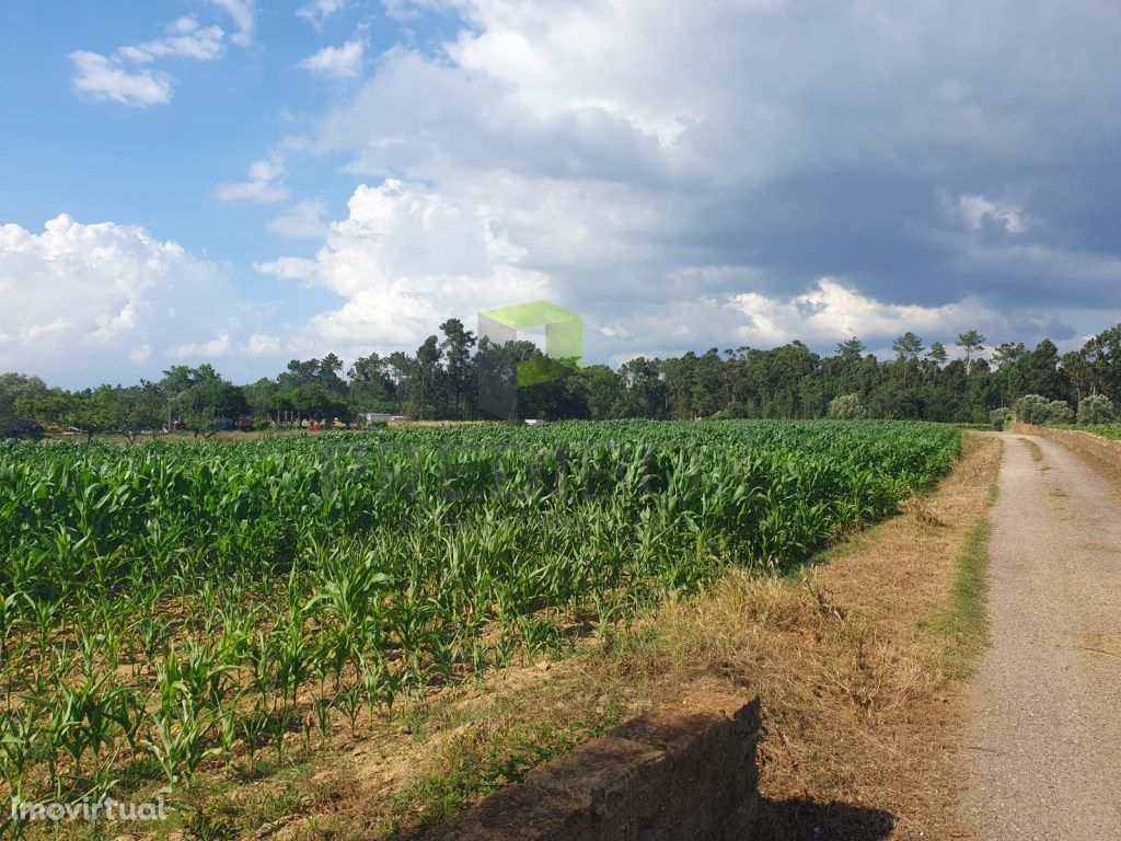 Terreno urbano de três frentes em Oiã