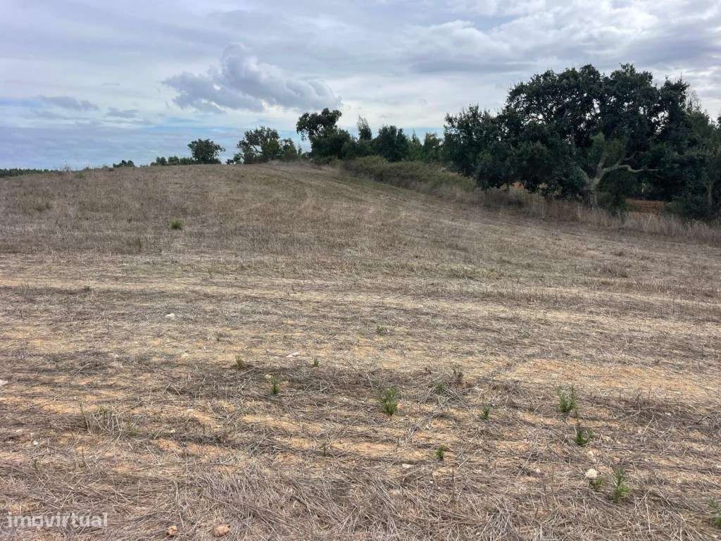 Monte Típico Alentejano para Reabilitar - Santiago do Cacém-17