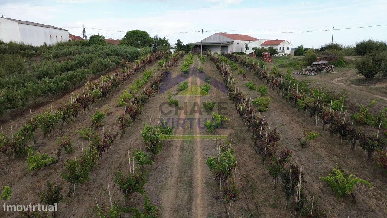 Terreno Rústico Construtível c/ 7.859 m2 Carvalhal - Bombarral-13