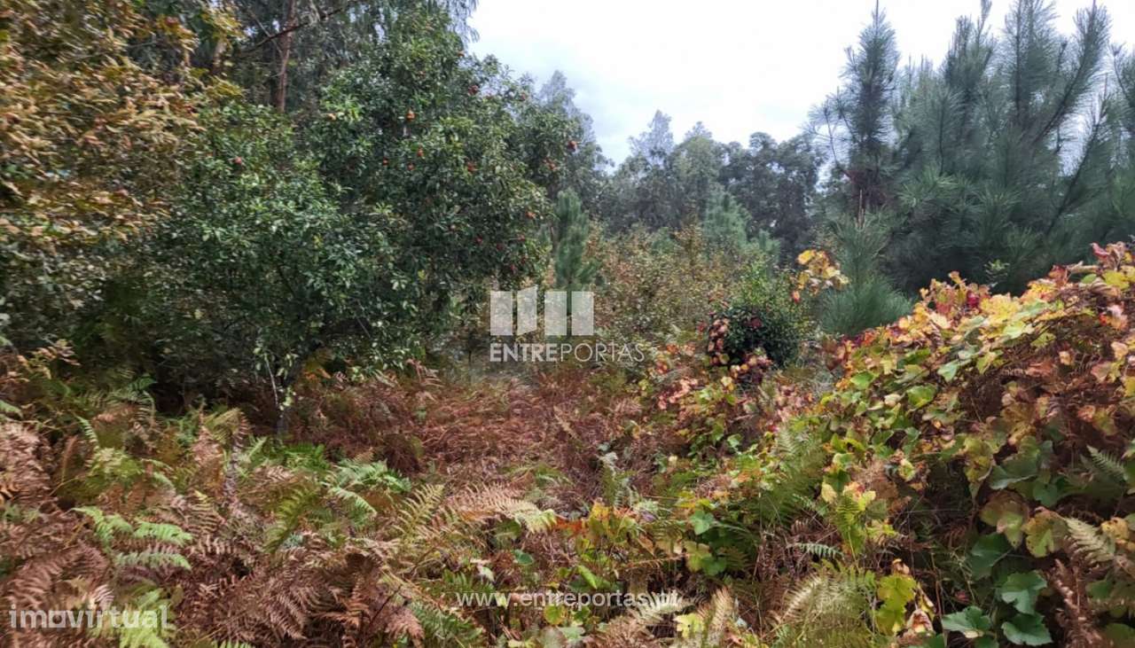 Venda de excelente terreno para construção, Subportela, Viana do Cas - Grande imagem: 4/30