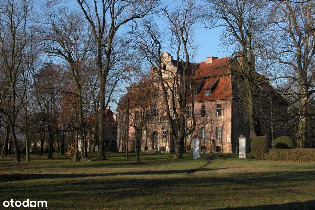 ZABYTKOWY PAŁAC W RYCHNOWIE – WYJĄTKOWA INWESTYCJA-0