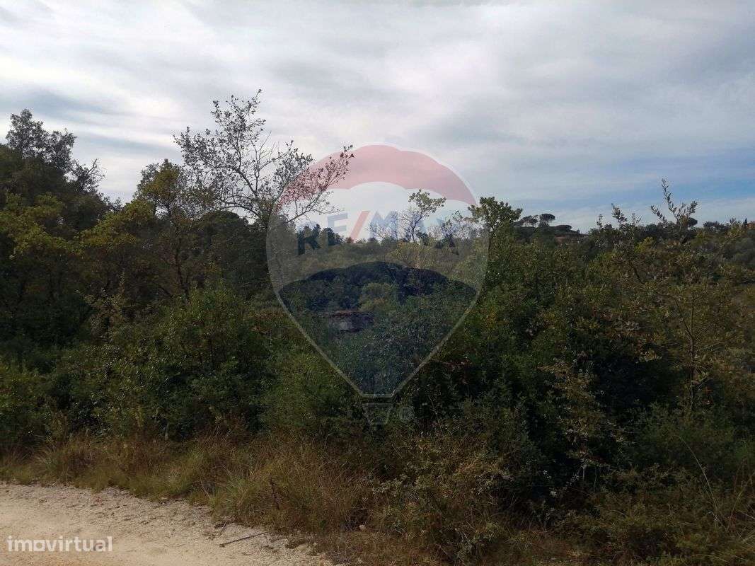 Terreno  para venda - Grande imagem: 2/6