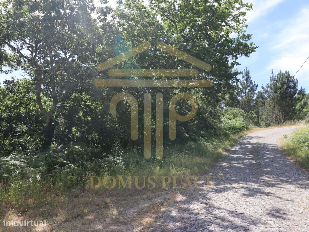 Terreno com 17.800 m², Casa para Reconstruir e mina de Água - Soalh...-24