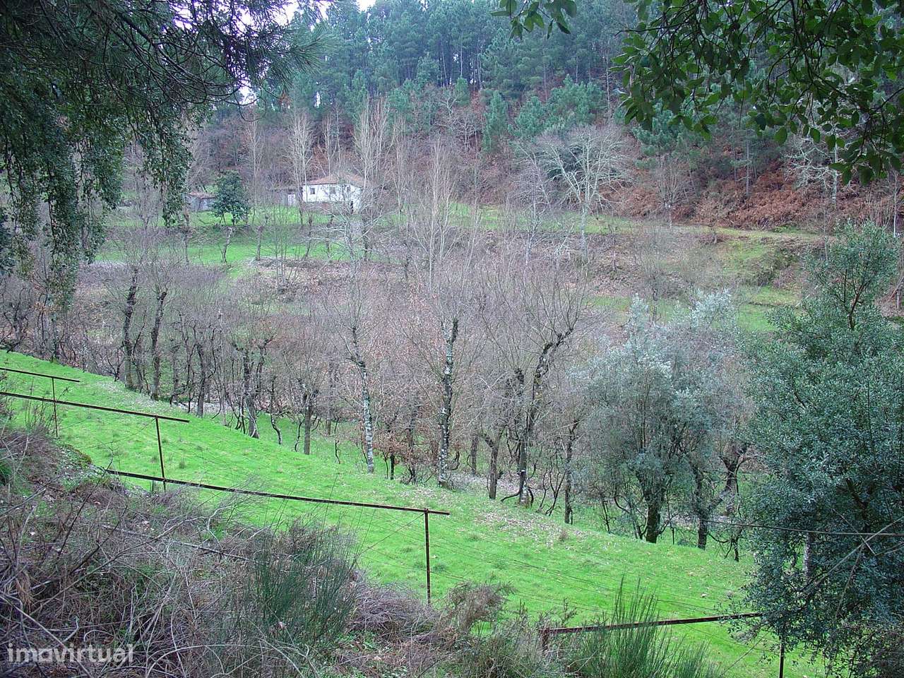 TERRENO COM RUINA LUGAR DE MOGAS - Grande imagem: 4/22