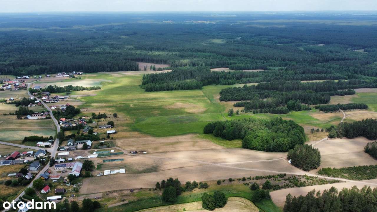 Strzelcowizna - 9,25 ha gruntu przy Czarnej Hańczy na sprzedaż - Pełny obrazek: 5/12