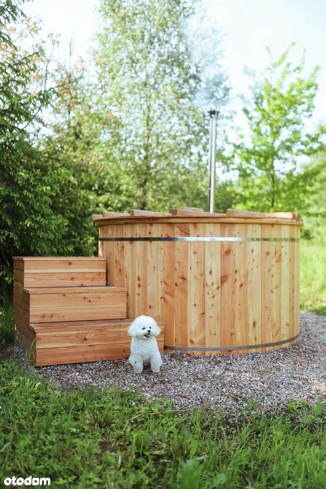 Duże siedlisko pośród pól z biznesem gotowym do przejęcia - Pełny obrazek: 4/20