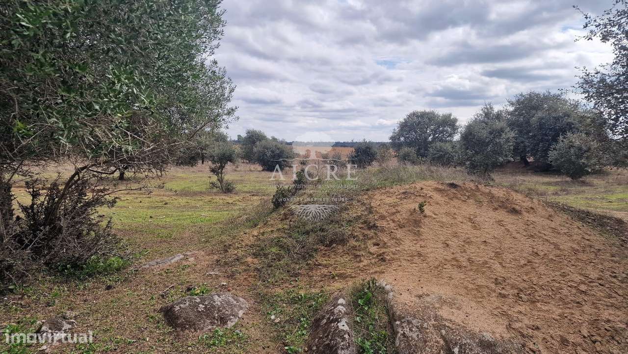 QUINTA COM 5067 M2 - Grande imagem: 3/3