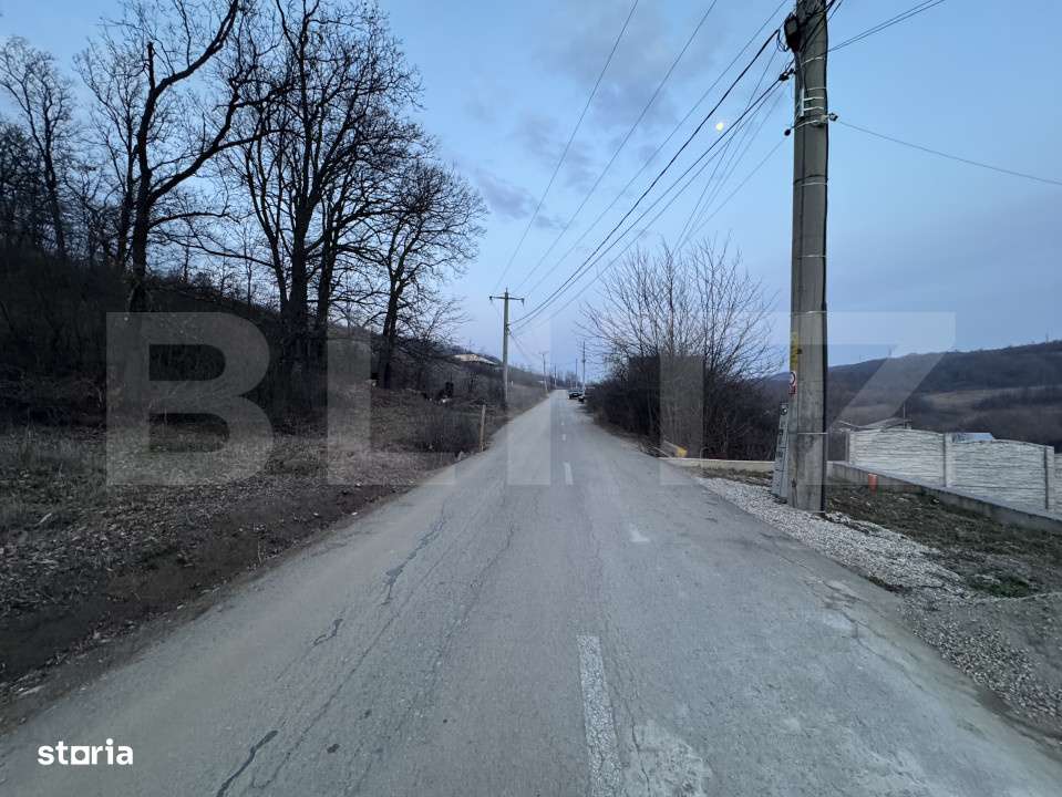 Oportunitate! 5 hectare Padure, Satul de Vacanta, parcelabil, Podari - Imagine principală: 5/5