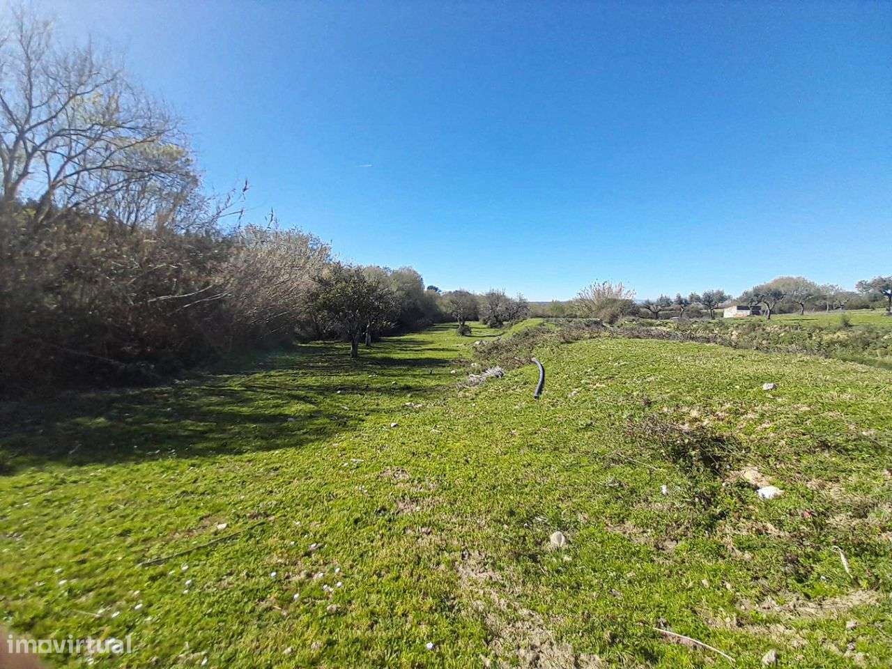 Quinta - Grande imagem: 3/10