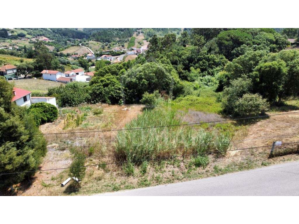 Terreno para construção, Relvas - Grande imagem: 3/6