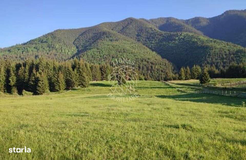 Teren PIATRA FANTANELE - 11.800 mp- ideal investitie, pensiune, hotel - Imagine principală: 3/3