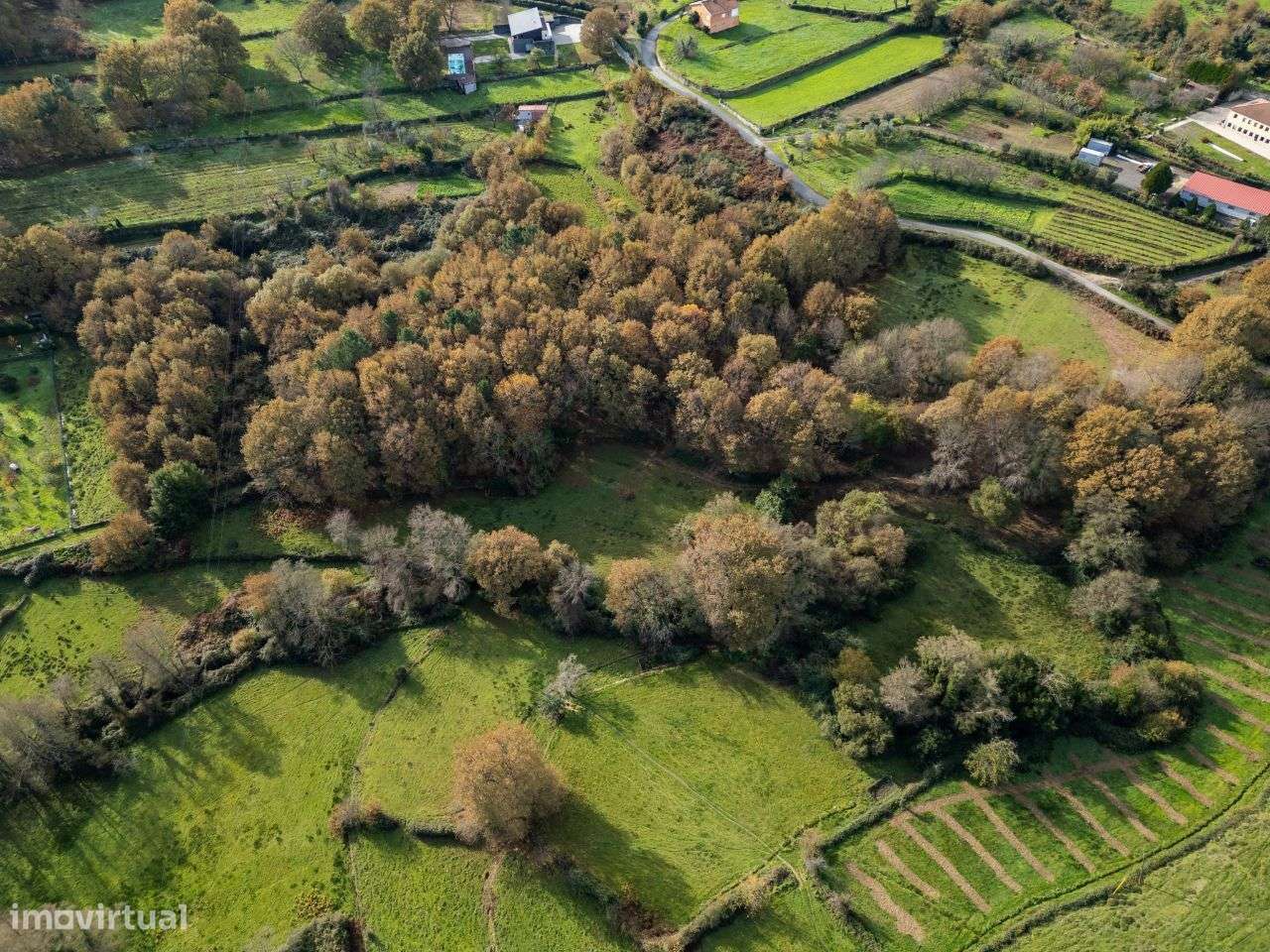 Terreno à beira Rio com 1.75 Ha em Borbelinha, - Grande imagem: 5/54