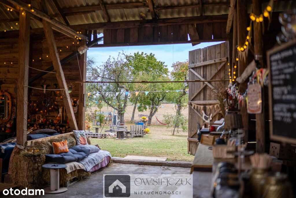 Siedlisko marzeń w okolicach Augustowa-17