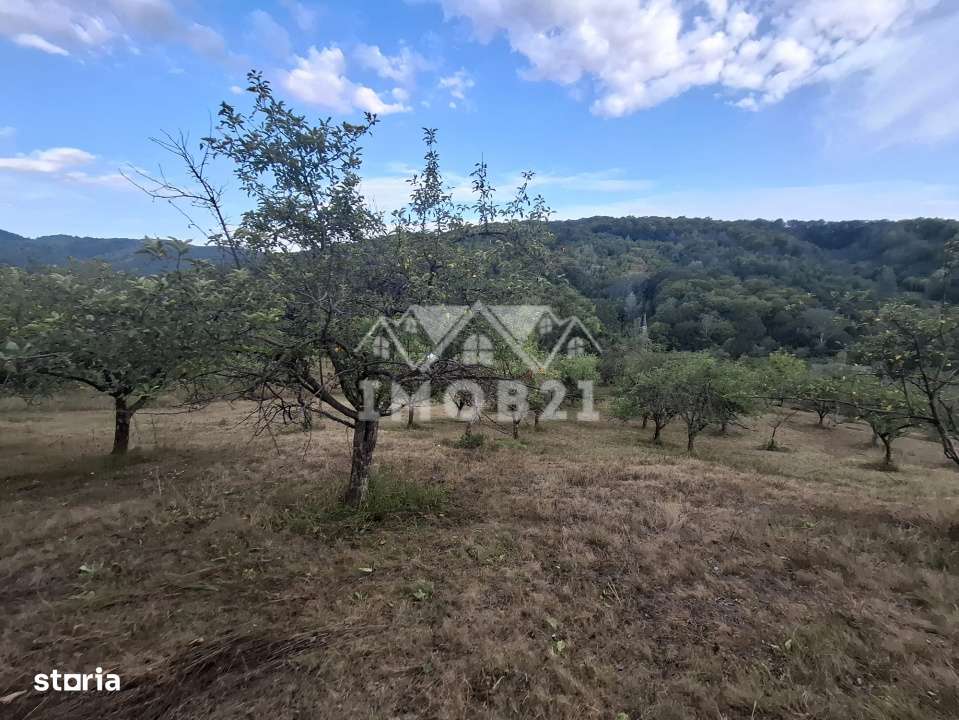 Teren spectaculos cu padure, livada si priveliste panoramica in Soimar-10